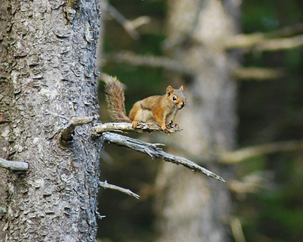 [DSC_0551 copy 2[4].jpg]